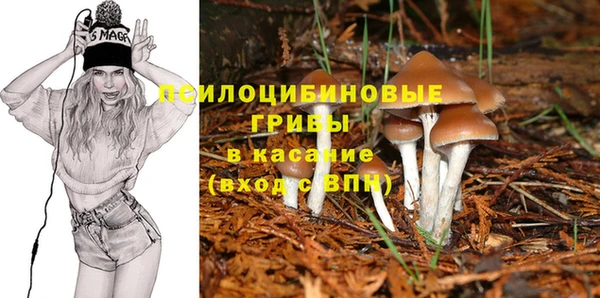 прущие крисы Покров