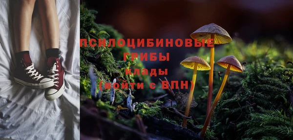 прущие крисы Покров