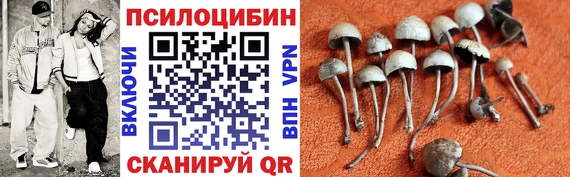 Купить  Рыльск  Галлюциногенные грибы прущие грибы 